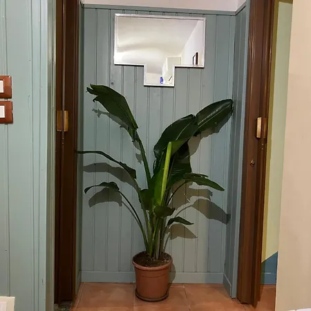 Pied At Terre * Triëst